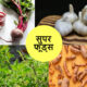 सुपर फूड्स कौन कौन से हैं ?