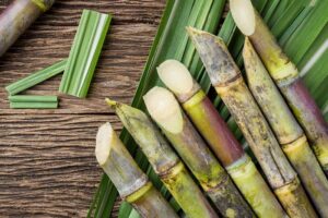 गन्ने के फायदे